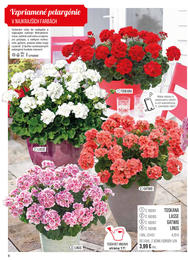 6. stránka Starkl letáku