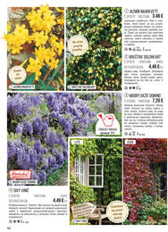 66. stránka Starkl letáku