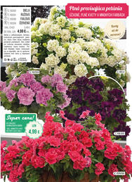 7. stránka Starkl letáku