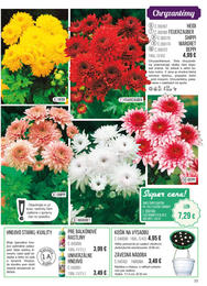 77. stránka Starkl letáku