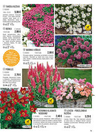 79. stránka Starkl letáku