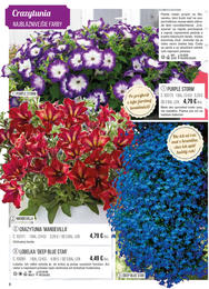 8. stránka Starkl letáku