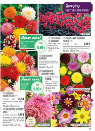 85. stránka Starkl letáku