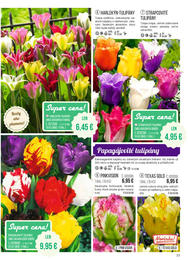 77. stránka Starkl letáku