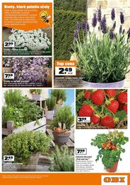 9. stránka OBI letáku