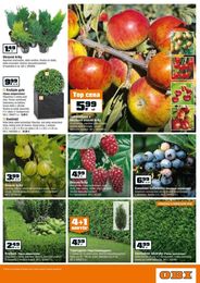 5. stránka OBI letáku