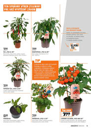 15. stránka OBI letáku