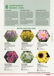 13. stránka BAUHAUS letáku