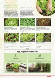 19. stránka BAUHAUS letáku