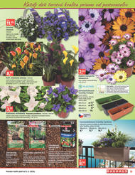 13. stránka BAUHAUS letáku