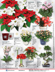 40. stránka BAUHAUS letáku