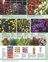 3. stránka BAUHAUS letáku