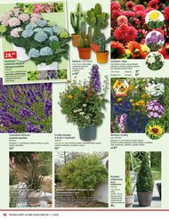 10. stránka BAUHAUS letáku