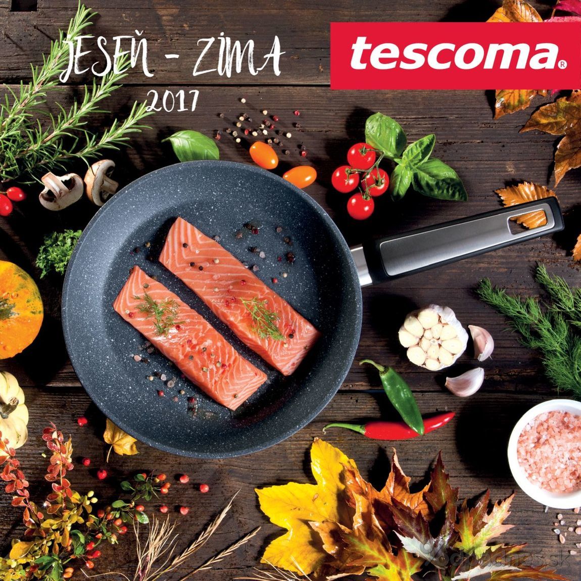 1. stránka Tescoma letáku